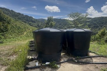 Sang Lee Durian Valley