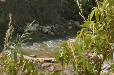 Sang Lee Durian Valley