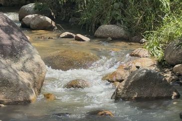 Sang Lee Durian Valley