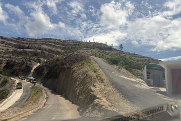 Sang Lee Durian Valley