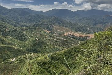 Sang Lee Durian Valley