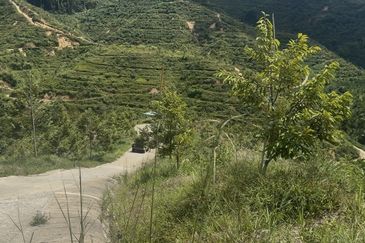 Sang Lee Durian Valley