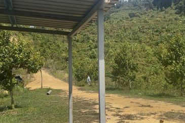 Sang Lee Durian Valley