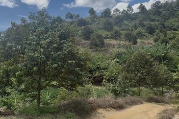 Sang Lee Durian Valley