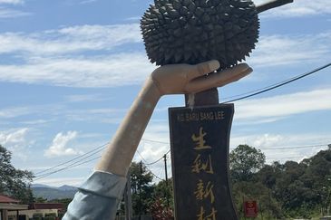 Sang Lee Durian Valley