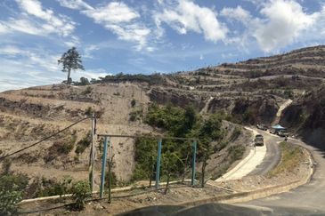 Sang Lee Durian Valley