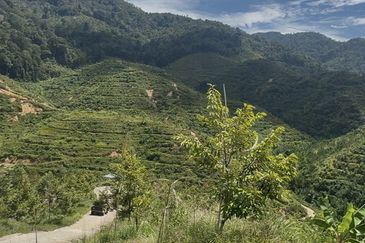 Sang Lee Durian Valley