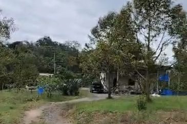 Kalumpang