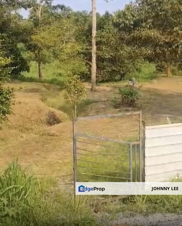 Main road 8.75 acres matured Musang king durian farm for sale, Pahang, Karak