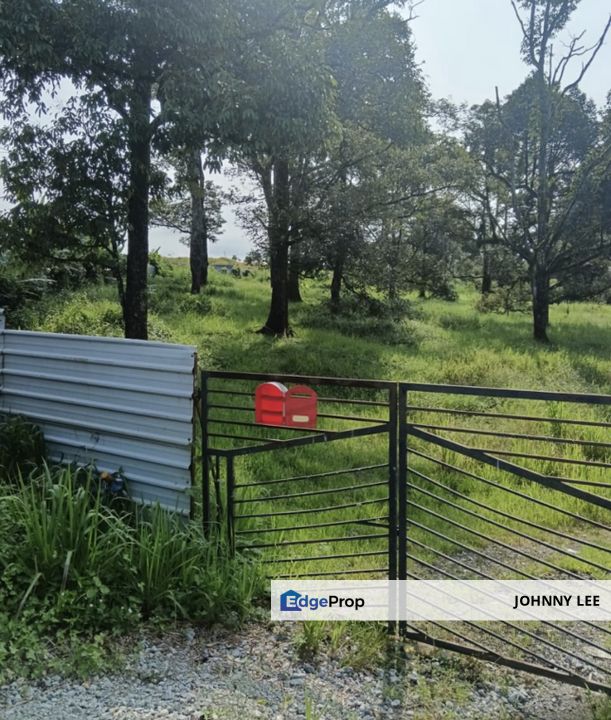 Main road 8.75 acres matured Musang king durian farm for sale, Pahang, Karak