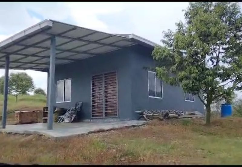 2.5 acres Musang King with fully furnished chalet 