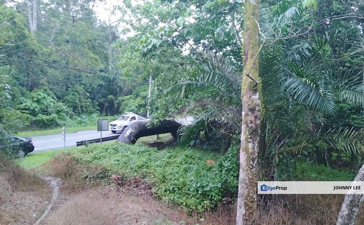3 acres freehold rubber land near Kg Gesa, Slim Village , Perak, Slim River