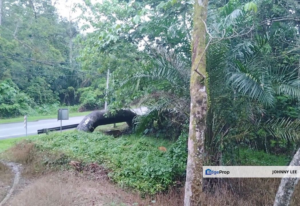 3 acres freehold rubber land near Kg Gesa, Slim Village , Perak, Slim River