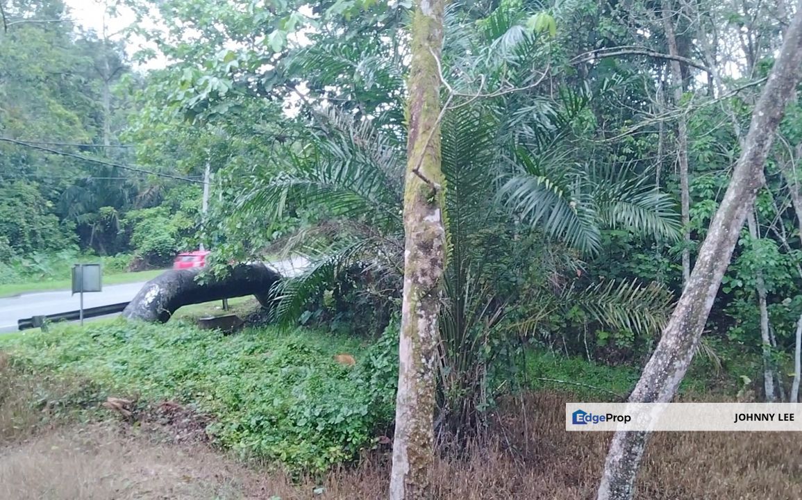 3 acres freehold rubber land near Kg Gesa, Slim Village , Perak, Slim River
