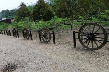 Kerling 1.63 acres Fruit Orchard with holiday bungalows 