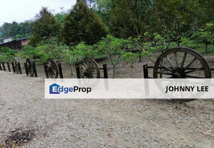 Kerling 1.63 acres Fruit Orchard with holiday bungalows , Selangor, Kerling