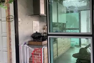 Bentong 5.75 acres Musang King durian 