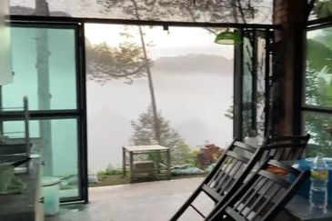 Bentong 5.75 acres Musang King durian 