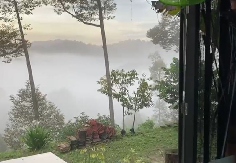 Bentong 5.75 acres Musang King durian 