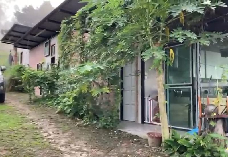 Bentong 5.75 acres Musang King durian 