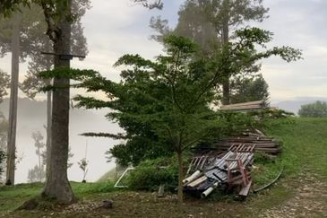 Bentong 5.75 acres Musang King durian 