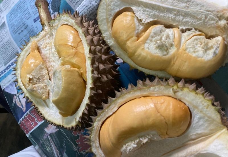 Bentong 5.75 acres Musang King durian 
