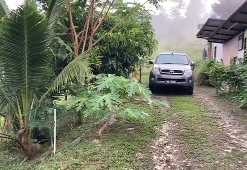 Bentong 5.75 acres Musang King durian 
