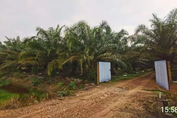 Telok Panglima Garang 2 acres oil palm