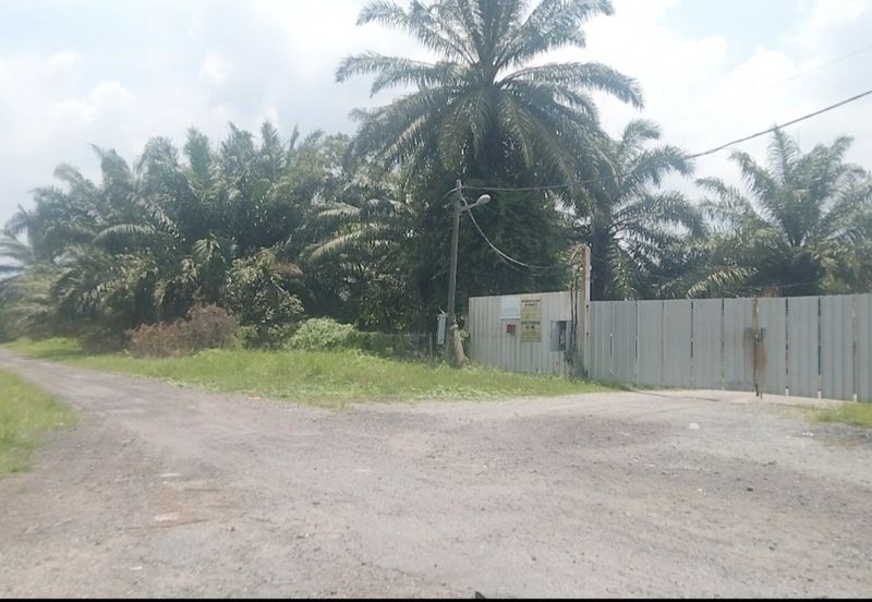 Telok Panglima Garang 2 acres oil palm