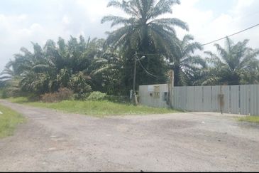 Telok Panglima Garang 2 acres oil palm