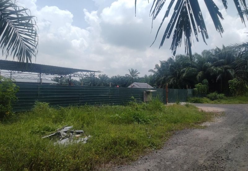 Telok Panglima Garang 2 acres oil palm