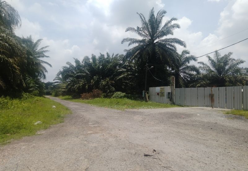 Telok Panglima Garang 2 acres oil palm