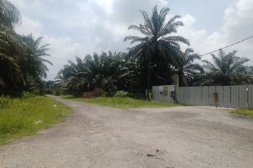 Telok Panglima Garang 2 acres oil palm