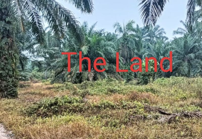 Banting @ Industrial