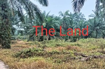 Banting @ Industrial