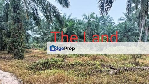 85 acres heavy industry zoning land in Olak Lempit Banting for sale , Selangor, Banting