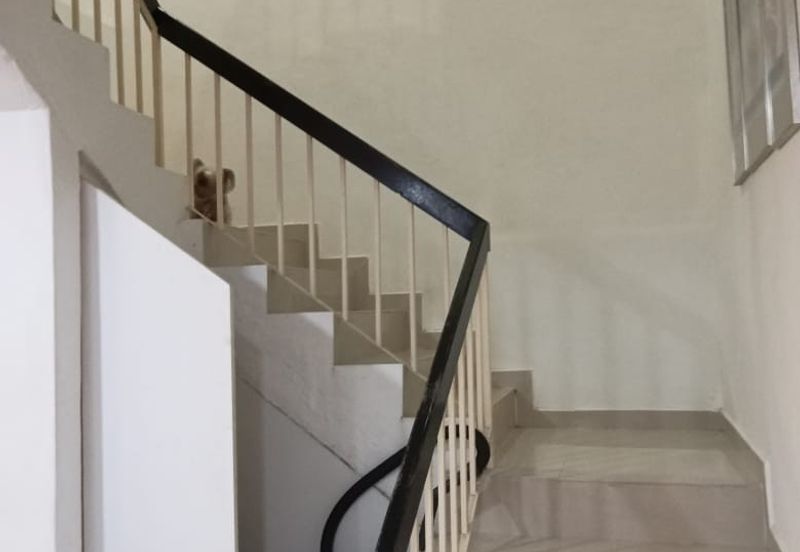 Taman Desa Aman Cheras 22 x 80 Fully Extended Renovated