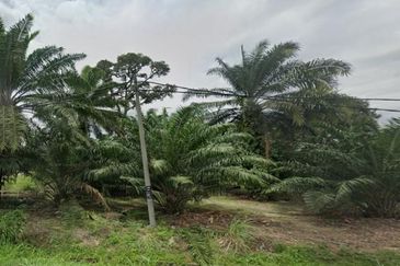 4.06 ACRES LAND FOR SALE AT JALAN KLANG BANTING PLAZA TOL, TELOK PANGLIMA GARANG, 42500 SELANGOR