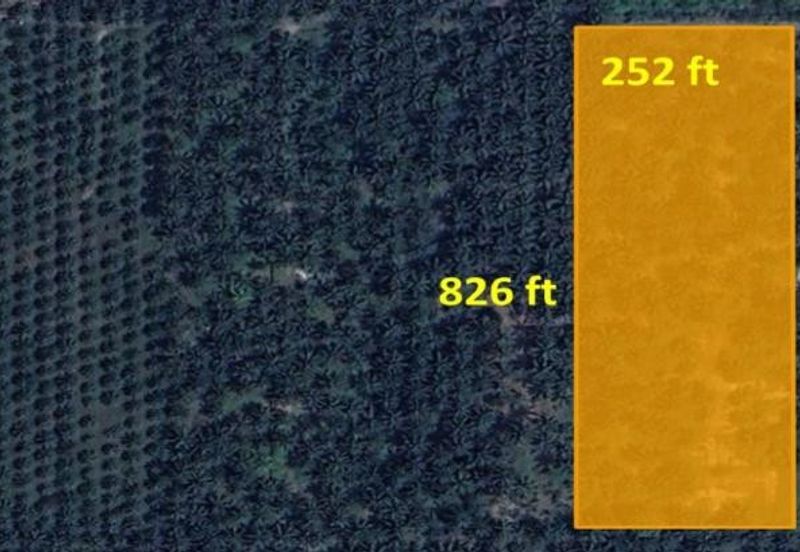 Teluk Panglima Garang