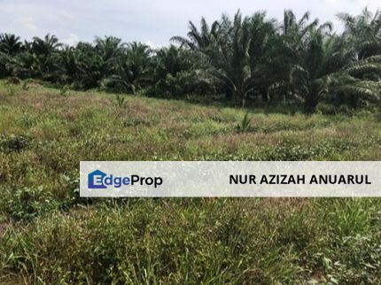 2.5ac - 2km to Gamuda Cove, Dengkil Land for Sale, Selangor, Dengkil