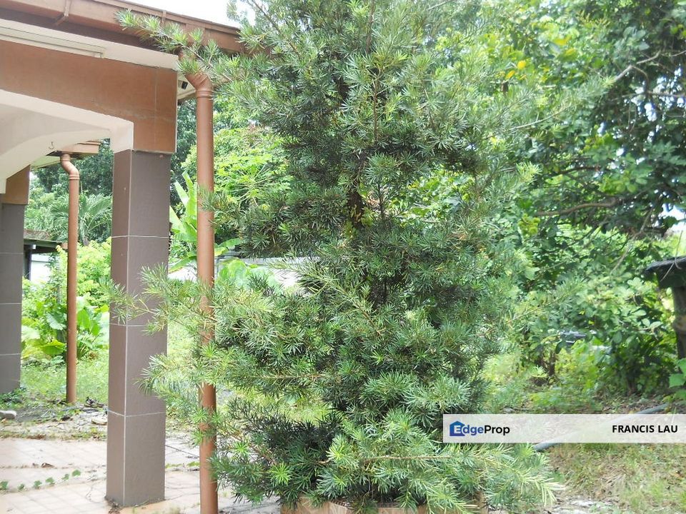 Auction/Lelong, Selangor, Kajang