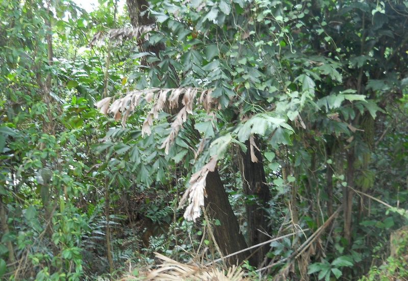 Seksyen 12, Shah Alam