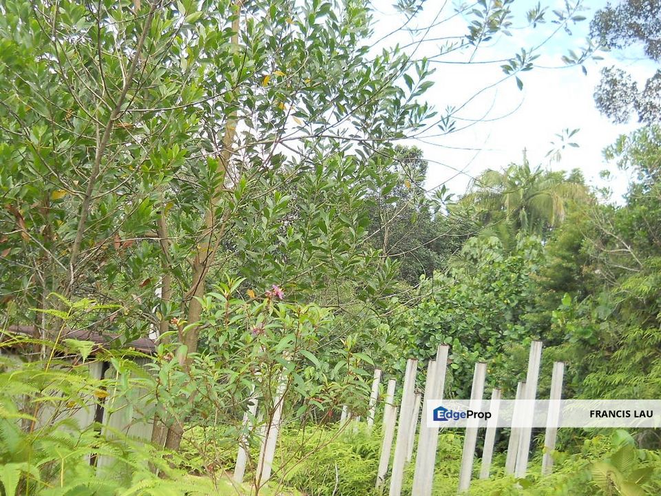 Auction/Lelong, Selangor, Shah Alam