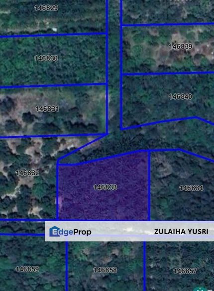 Tanah Pertanian Sawit RTK Gambang Kuantan Murah, Pahang, Kuantan