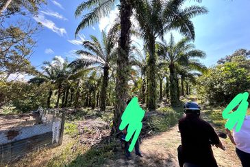 Batu 3, Jalan Gambang