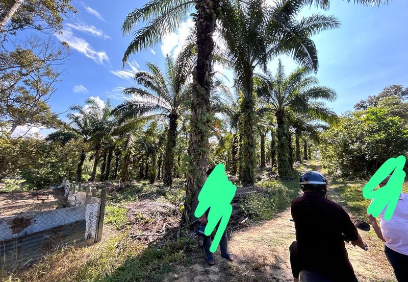 Batu 3, Jalan Gambang