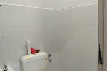 TAMAN DESA BANGAU (DESA TELOK IRA)