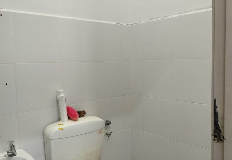 TAMAN DESA BANGAU (DESA TELOK IRA)