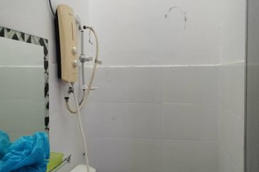 TAMAN DESA BANGAU (DESA TELOK IRA)