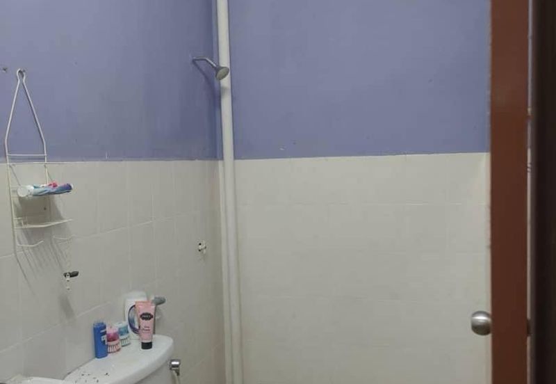 TAMAN GAMBANG DAMAI/DESA HIJAUAN